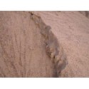 Sand 0 - 2 mm - gewaschen - lose - ca. 0,55m³ - ca.1t